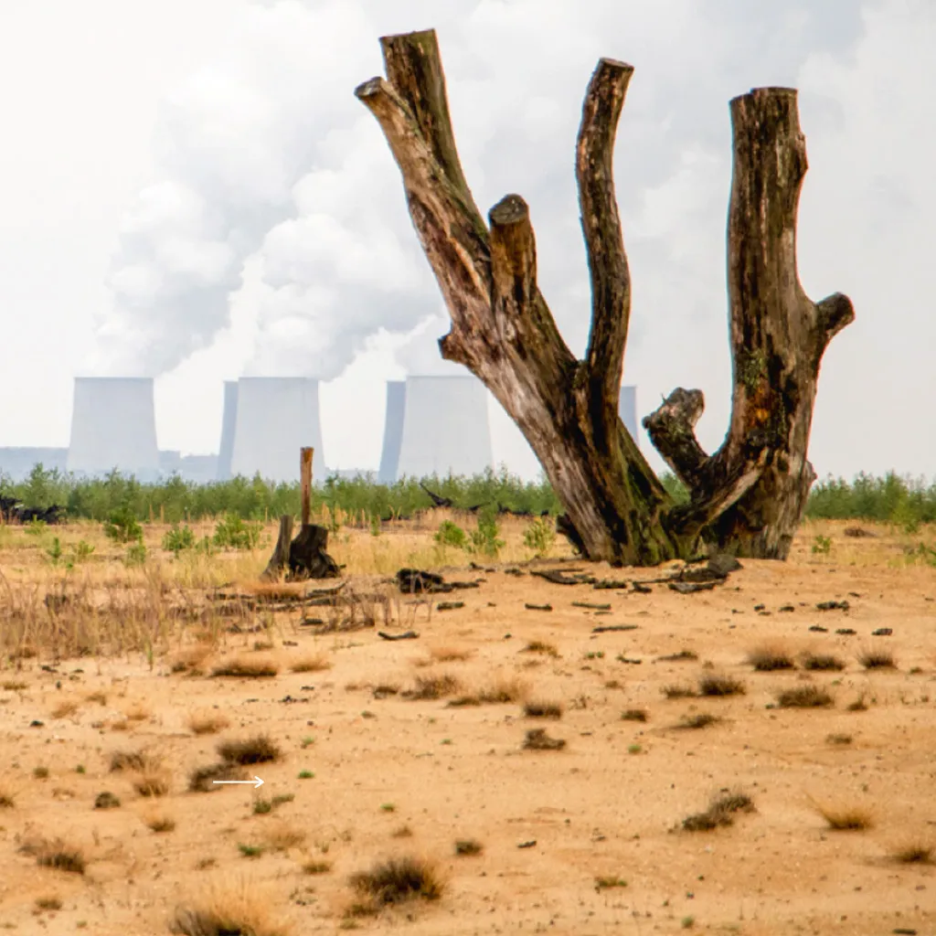 Taskforce Strukturwandel Die Innovationsmanager der Taskforce unterstützen Kommunen, Unternehmen und die Zivilgesellschaft im Landkreis Görlitz bei der Bewältigung des Strukturwandels durch den Kohleausstieg
